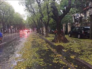 Dự báo thời tiết 5 ngày tới 31/10 - 4/11/2018: Mưa vài nơi, Hà Nội đêm và sáng sớm trời rét