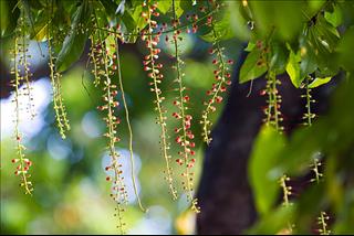 Dự báo thời tiết hôm nay 5/10: Hà Nội ít mây trời nắng