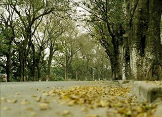 Dự báo thời tiết ngày mai 10/10: Gió mùa về trên toàn miền Bắc