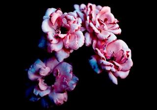 Tử vi Thứ 3 ngày 20/11/2018 của 12 con giáp: Tý hạnh phúc, Mão buồn vì tình