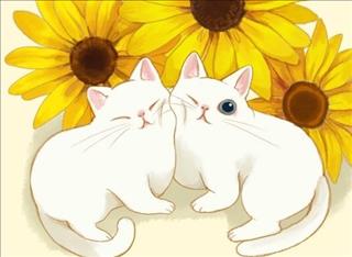 Tử vi Thứ 4 ngày 14/11/2018 của 12 cung hoàng đạo: Cự Giải bị lợi dụng, Nhân Mã vô lo vô nghĩ