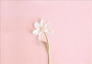 Tử vi Chủ nhật ngày 18/11/2018 của 12 cung hoàng đạo: Kim Ngưu bình yên, Sư Tử mê tín