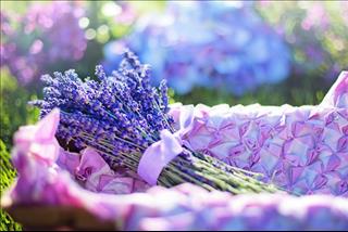 Tử vi tuần mới từ 26/11 – 2/12/10/2018 của 12 con giáp: Mùi giàu tiền bạc, Dần 1 mình 1 ý