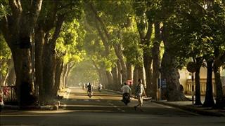 Dự báo thời tiết Hà Nội 3/11: Đêm lạnh, ngày nắng hanh khô