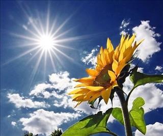 Dự báo thời tiết ngày mai 3/11: Tin bão số 7, nhiều khu vực không mưa, trời trong