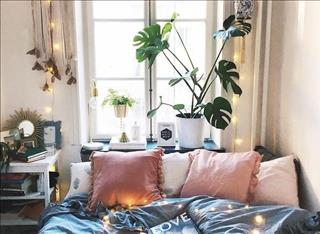 Tử vi Thứ 7 ngày 1/12/2018  của 12 con giáp: Thìn chớ cả tin, Hợi vượng duyên