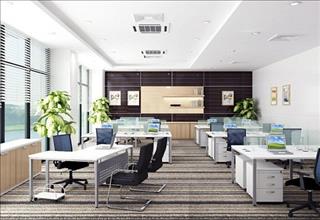 Phong thủy văn phòng: Những thay đổi nhỏ giúp bạn có những thăng tiến lớn hơn trong công việc