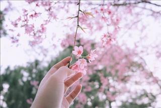 Tử vi Thứ 2 ngày 3/12/2018 của 12 cung hoàng đạo: Song Tử nghĩ nhiều, Hổ Cáp nông nổi