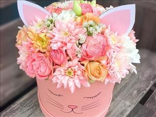 Tử vi thứ 3 ngày 13/11/2018  của 12 con giáp: Tý có xích mích, Tị có danh