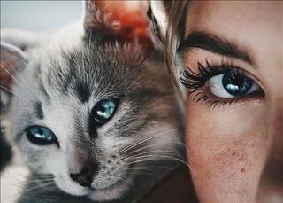 Tử vi Thứ 7 ngày 17/11/2018 của 12 con giáp: Tý có tranh chấp, Ngọ nhớ tán lộc