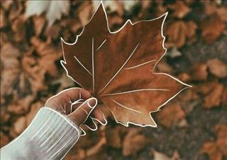 Tử vi Chủ nhật ngày 11/11/2018 của 12 cung hoàng đạo: Kim Ngưu hay ngại, Xử Nữ dễ nổi nóng