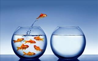 Làm cách này, con giáp PHẠM THÁI TUẾ 2019 có thể gặp hung hóa cát, tìm lại bình yên