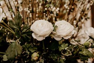 Tử vi ngày 23/12/2018 Chủ nhật của 12 con giáp: Dần buồn bã, Thìn phá tài