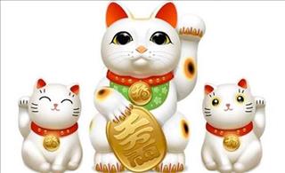 THÁNG PHÁT TÀI 2019 cho người tuổi Mão tài lộc đầy tay, phất lên như diều gặp gió