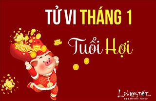 Tử vi tháng 1/2019 tuổi Hợi (Âm lịch): Đầu năm có lộc về tiền bạc, đất cát