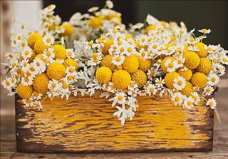 Tử vi tuần mới của 12 cung hoàng đạo (Tuần từ 31/12 - 6/1/2019): Kim Ngưu tưởng bở, Thiên Bình bình yên