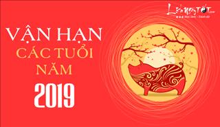 Xem VẬN HẠN các tuổi năm Kỷ Hợi 2019 theo THẬP BÁT CỤC