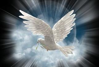 Bí ẩn về những con vật nhìn thấy ma