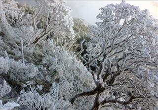 Áp thấp nhiệt đới có khả năng mạnh thành bão, miền Bắc đón tết Dương lịch trong trời mưa rét dưới 10 độ