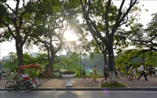 Dự báo thời tiết 3 ngày tới 04-06/12: Thời tiết tạnh ráo, nắng ở cả hai miền