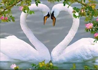 Tử vi Chủ nhật ngày 25/2/2018 của 12 con giáp