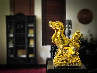 Tết Mậu Tuất 2018, có nên cúng thịt chó để lấy may?