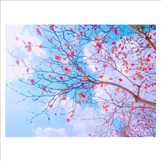 Tử vi thứ 3 ngày 27/2/2018 của 12 cung hoàng đạo