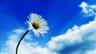 Tử vi thứ 2 ngày 5/3/2018 của 12 con giáp