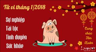 Tử vi tuổi Hợi tháng 1 năm 2018 âm lịch: Gặp hạn về sức khỏe, đi đứng cẩn thận