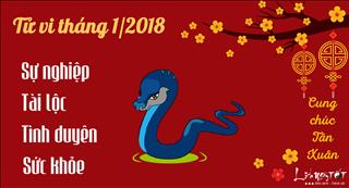 Tử vi tuổi Tị tháng 1 năm 2018 âm lịch: Kiếm được tiền nhưng khó tích lũy