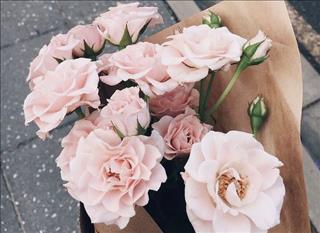 Tử vi Chủ Nhật ngày 18/2/2018 của 12 cung hoàng đạo