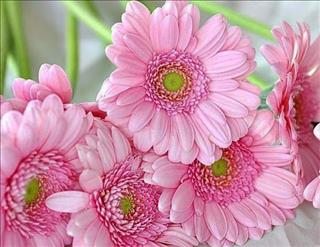 Tử vi thứ 6 ngày 23/2/2018 của 12 cung hoàng đạo