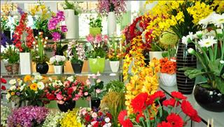 Chọn ngay hoa trưng Tết Bính Ngọ để cả năm 2026 được may mắn, thành công