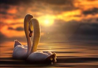 Tử vi Chủ nhật ngày 25/3/2018 của 12 con giáp