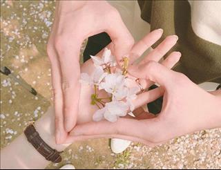 Tử vi thứ 3 ngày 20/3/2018 của 12 cung hoàng đạo