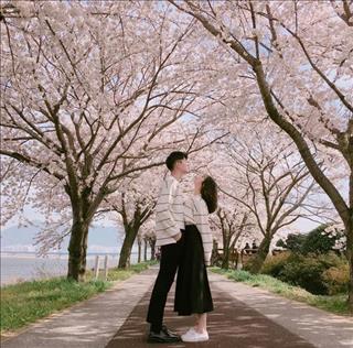 Xem bói tình duyên tháng 3 dương lịch cho 12 con giáp