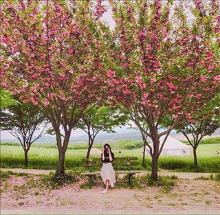 Tử vi tuần mới của 12 con giáp (Tuần từ 19 - 25/3/2018)