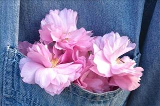 Tử vi Thứ 3 ngày 17/4/2018 của 12 con giáp