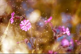 Tử vi thứ 7 ngày 21/4/2018 của 12 cung hoàng đạo