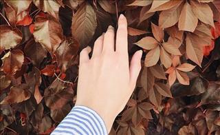 Tử vi Chủ nhật ngày 22/4/2018 của 12 cung hoàng đạo