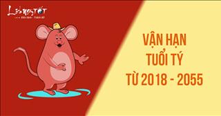 Dự đoán Vận Hạn tuổi Tý từ năm 2018 đến 2055: Cát hung trong tầm tay!