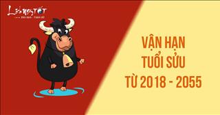 Dự đoán Vận Hạn tuổi Sửu từ năm 2018 đến 2055: Biết mà xu cát tị hung