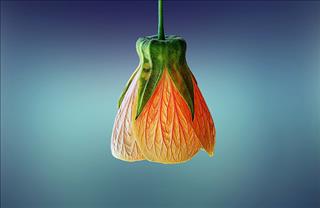 Tử vi thứ 4 ngày 11/4/2018 của 12 con giáp