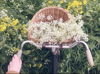 Tử vi Thứ 2 ngày 9/4/2018 của 12 cung hoàng đạo