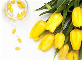 Tử vi tuần mới của 12 cung hoàng đạo (Tuần từ 21/5 - 27/5/2018)