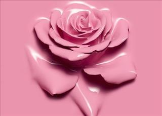 Tử vi Thứ 7 ngày 26/5/2018 của 12 con giáp