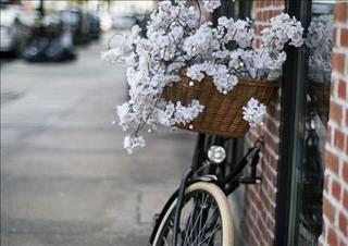 Tử vi Thứ 7 ngày 2/6/2018 của 12 con giáp