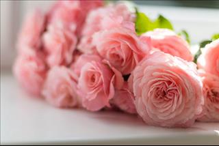 Tử vi thứ 3 ngày 29/5/2018 của 12 cung hoàng đạo