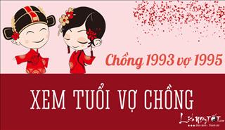 Xem hợp tuổi chồng QUÝ DẬU 1993 vợ ẤT HỢI 1995