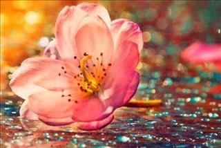 Tử vi Chủ nhật ngày 3/6/2018 của 12 cung hoàng đạo